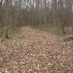 Meet your Posher, Beverly